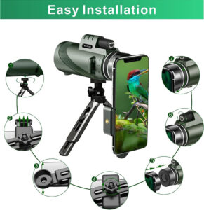 花鳥風月・ビバ 私の人生の時間