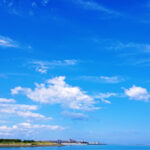 自動でゴミ袋を密閉、忙しい奥様へプレゼント