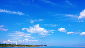 自動でゴミ袋を密閉、忙しい奥様へプレゼント